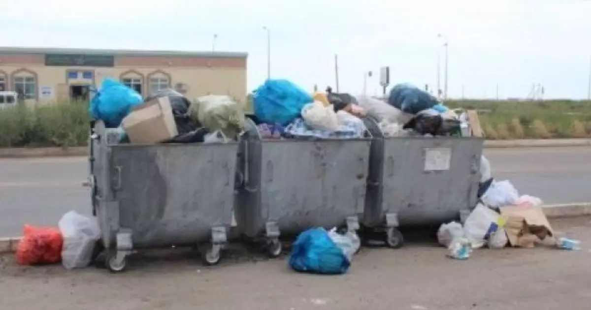  Әкімдіктер қоқыс үшін айыппұл салады: жаңа норма қашан күшіне енеді? 