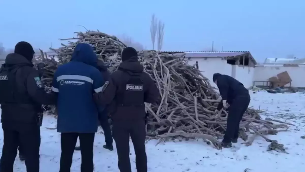 Сексеуілді кескен: күдіктілер 12 жылға дейін бас бостандығынан айырылуы мүмкін