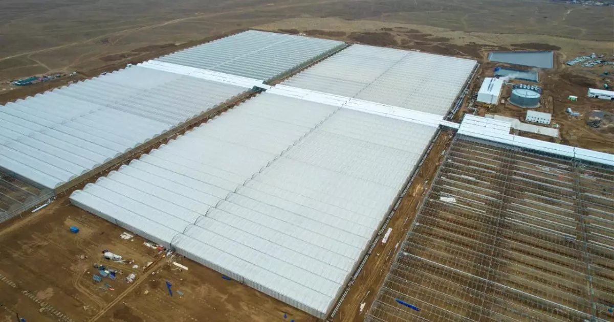  Түркістан облысында еліміздегі ең ірі жылыжай кешені іске қосылады 