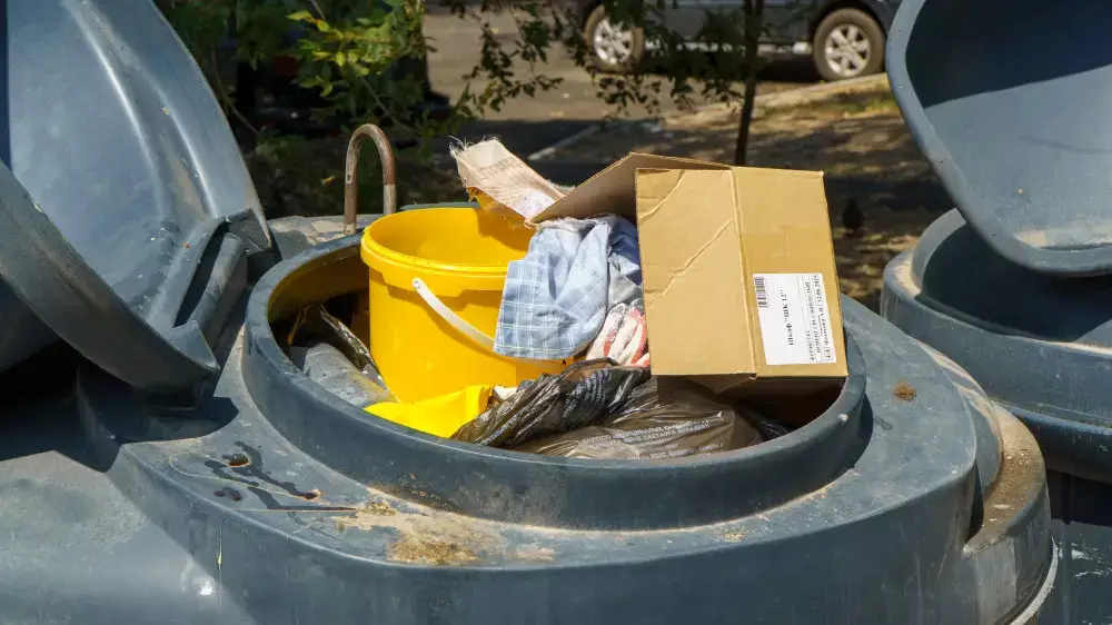 В Казахстане акиматы наделят еще одним правом с весны