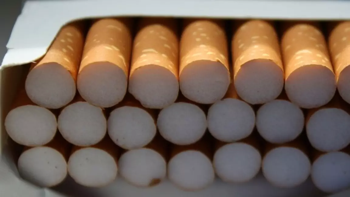 Түркістан облысында заңсыз темекі өнімдерін өндіргендер ұсталды