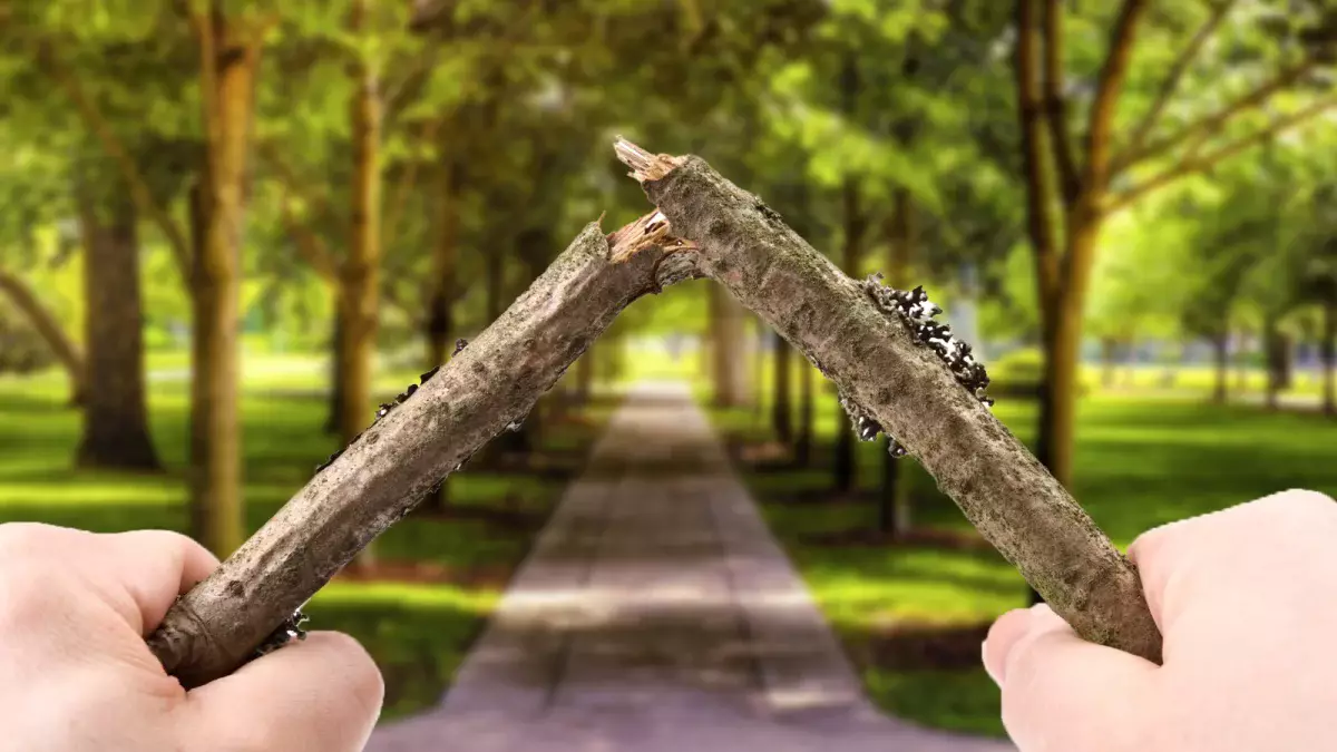 Енді әкімдіктер де полиция сияқты қазақстандықтарға айыппұл сала алады