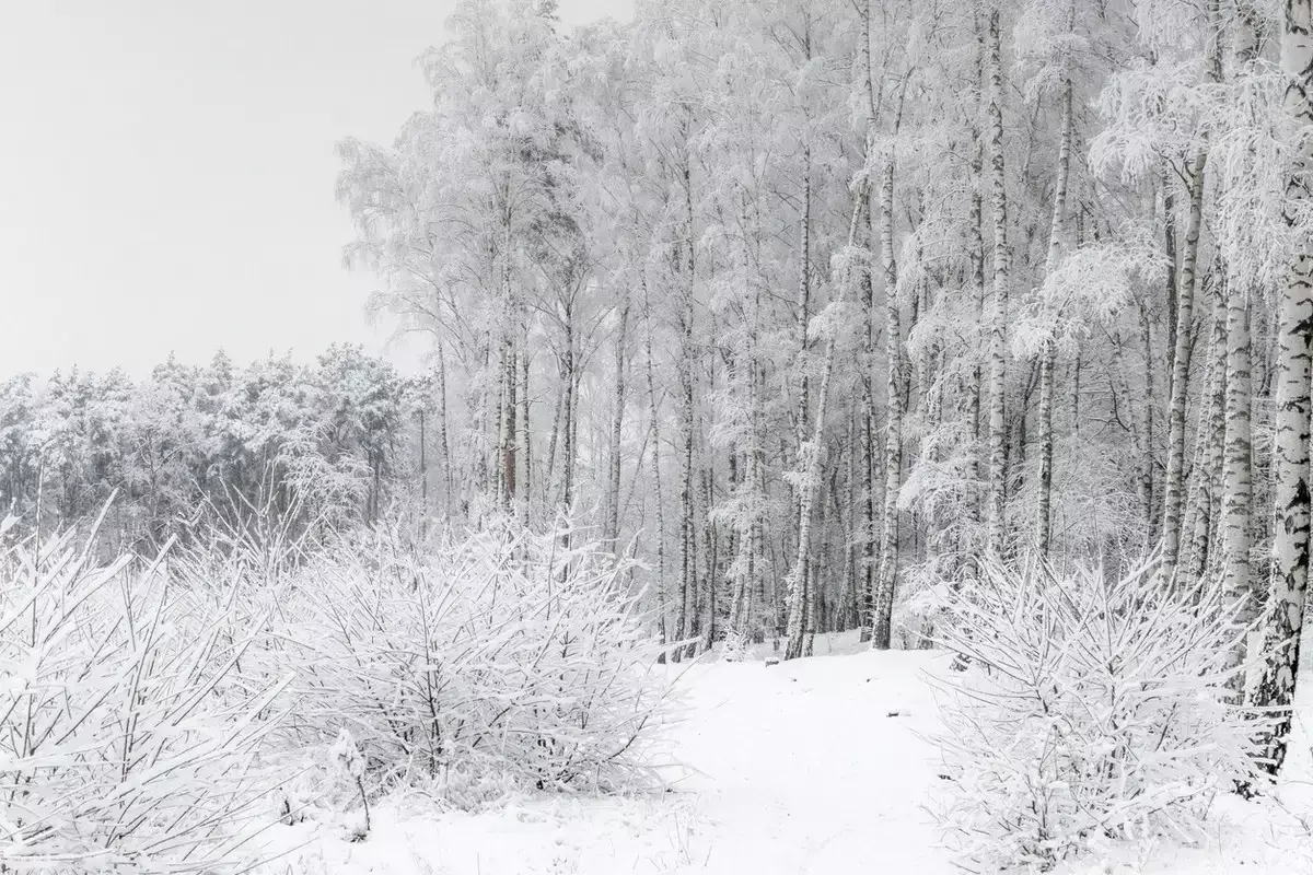 В каких регионах Казахстана объявили штормовое предупреждение