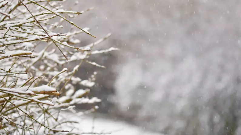 Қар, боран, тұман: 16 облыста дауылды ескерту жарияланды