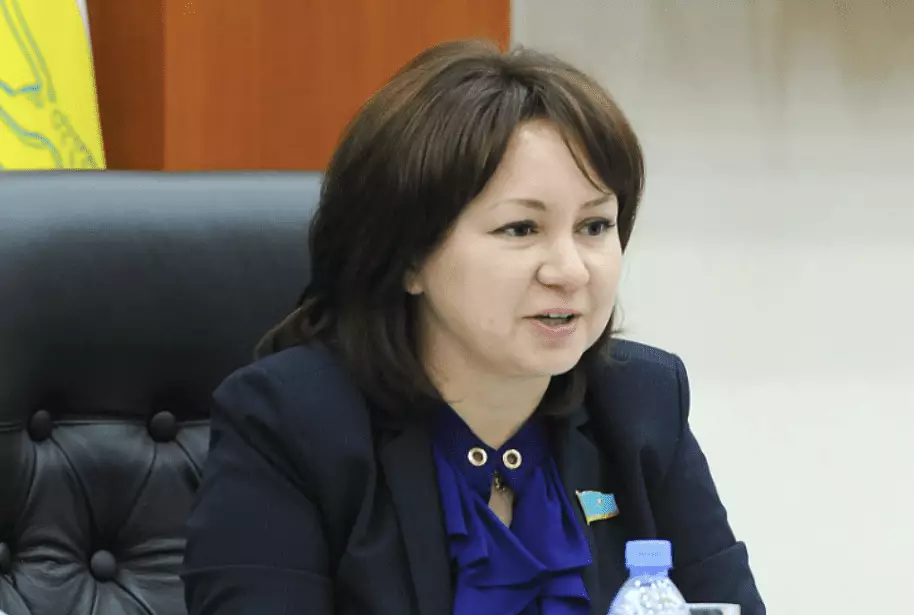 Имашева назвала реформу не поправками, а новой Конституцией