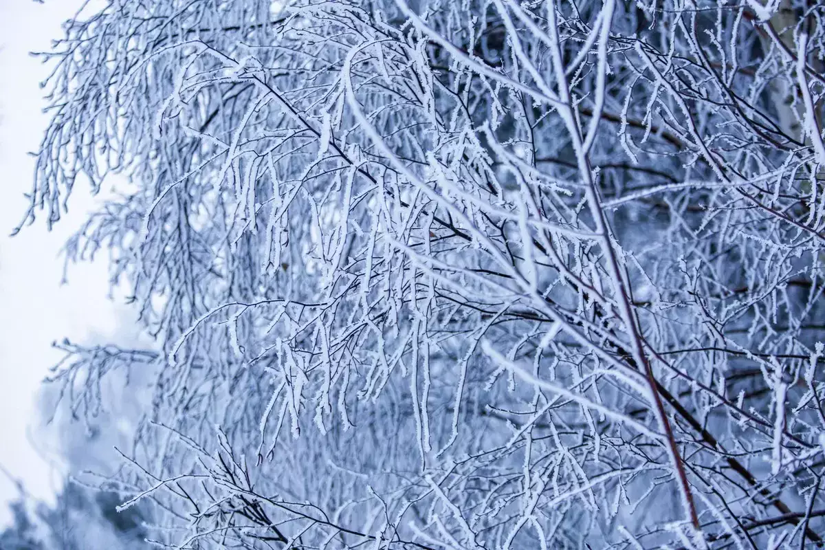 Какая погода ждет казахстанцев 30 января