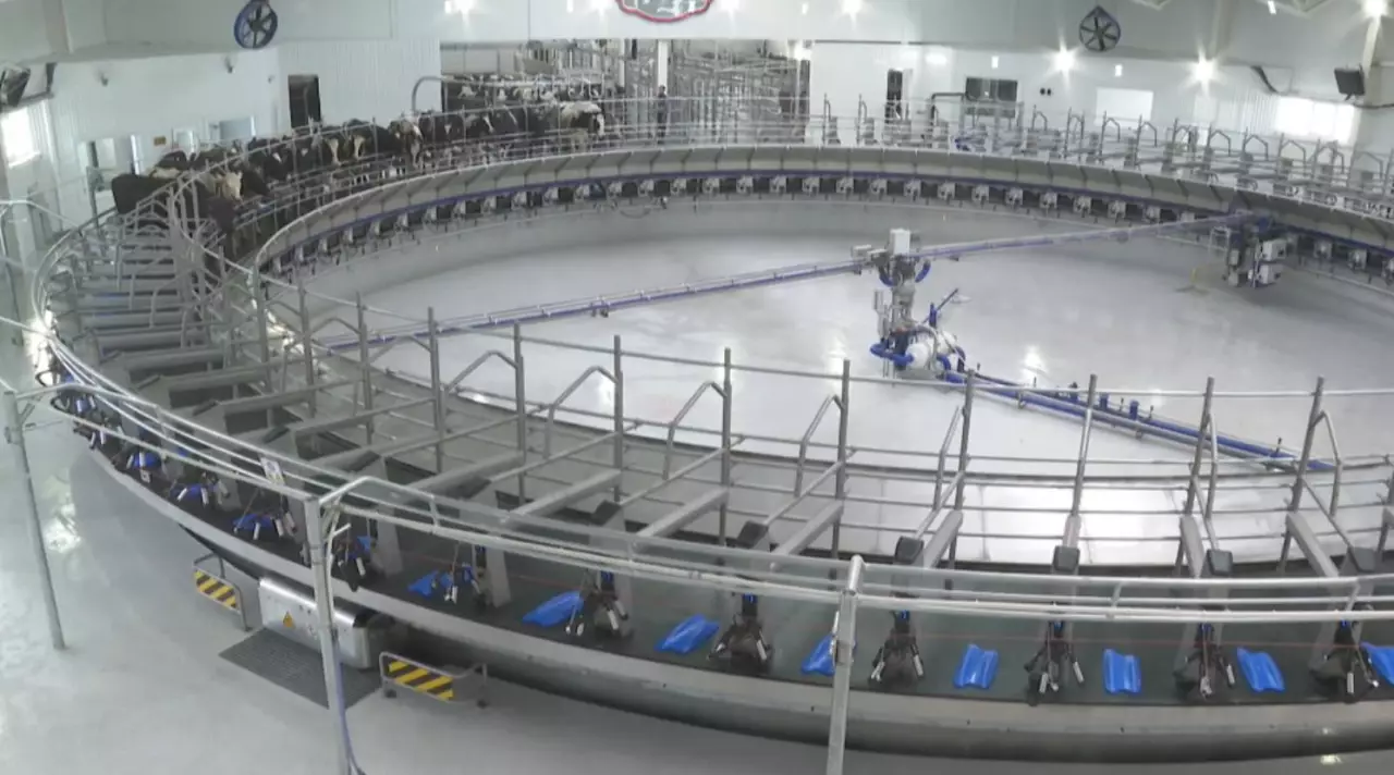 Елімізде агромаркетплейс іске қосылады