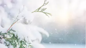 Тұман,көктайғақ: 30 қаңтардың ауа райы болжамы