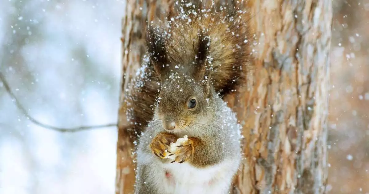  30 қаңтарға арналған ауа райы болжамы 