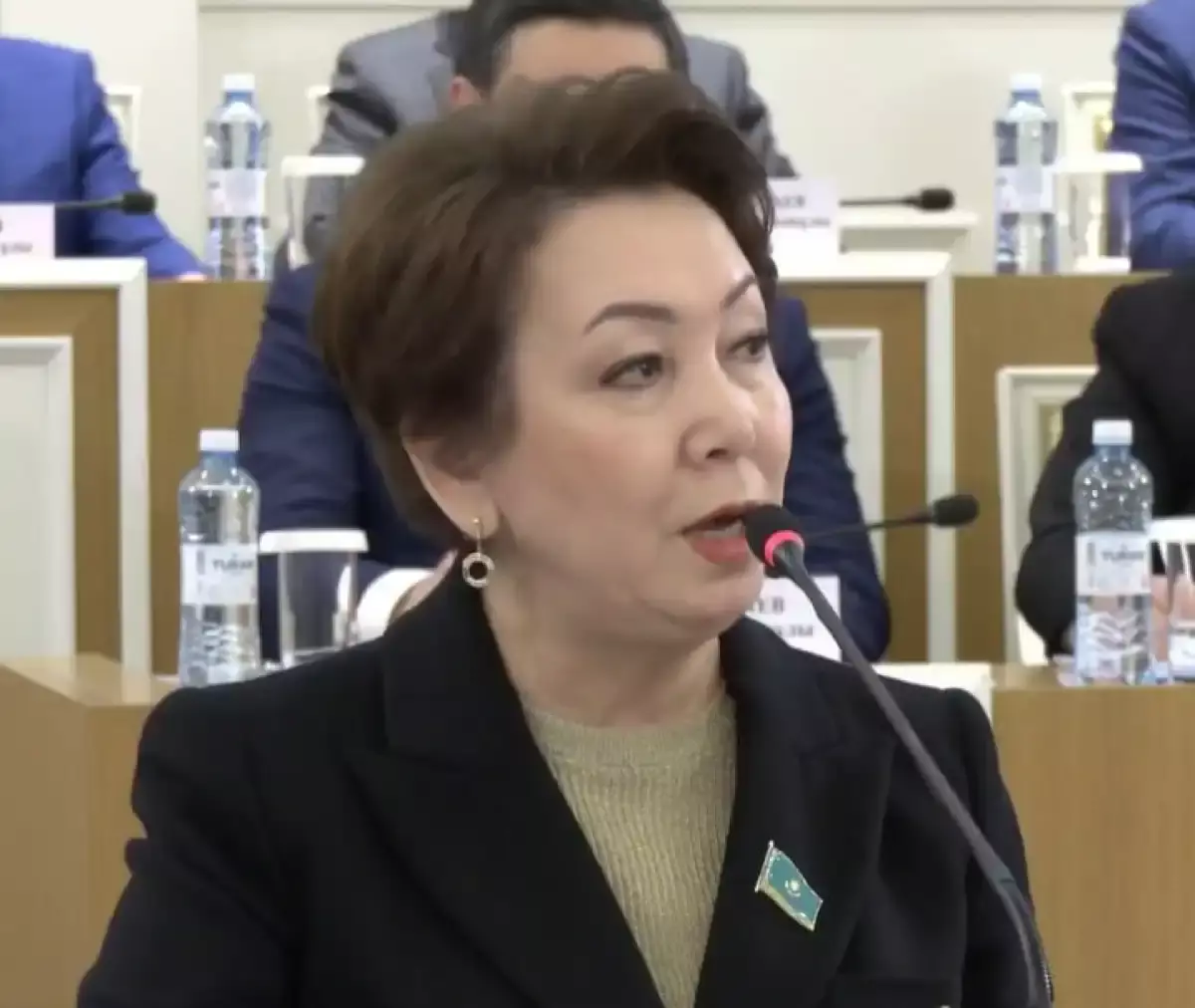 «Конституцияға өзгеріс емес, жаңа мәтін керек» — Мәжіліс вице-спикері