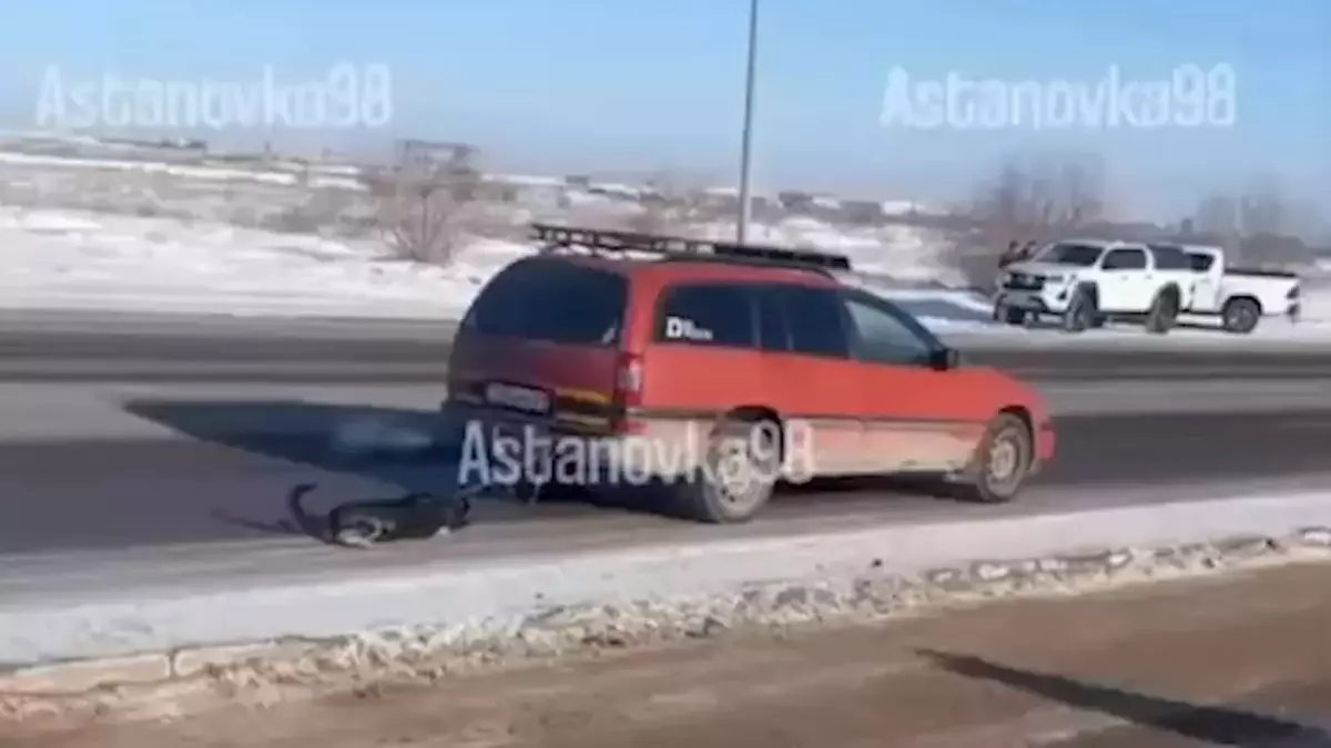 Житель Астаны привязал собаку к машине и протащил по дороге (ВИДЕО)