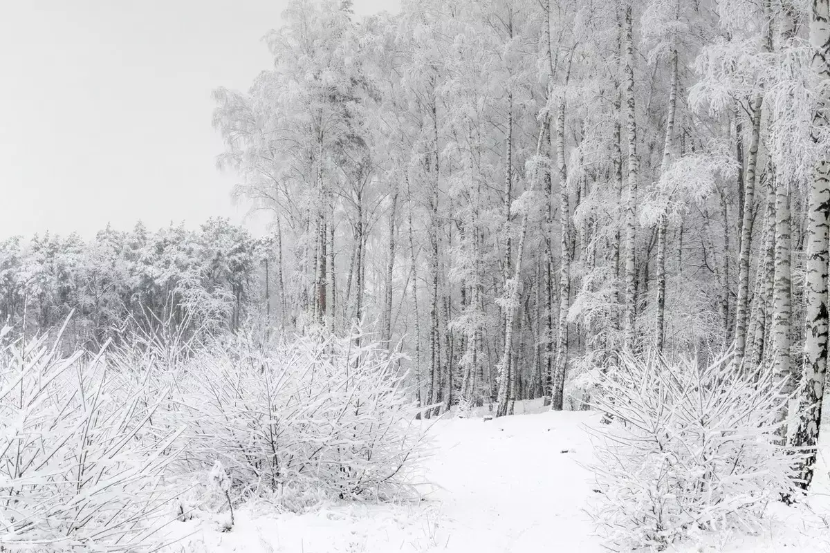 Қазақстанның 16 өңірінде дауылды ескерту жарияланды