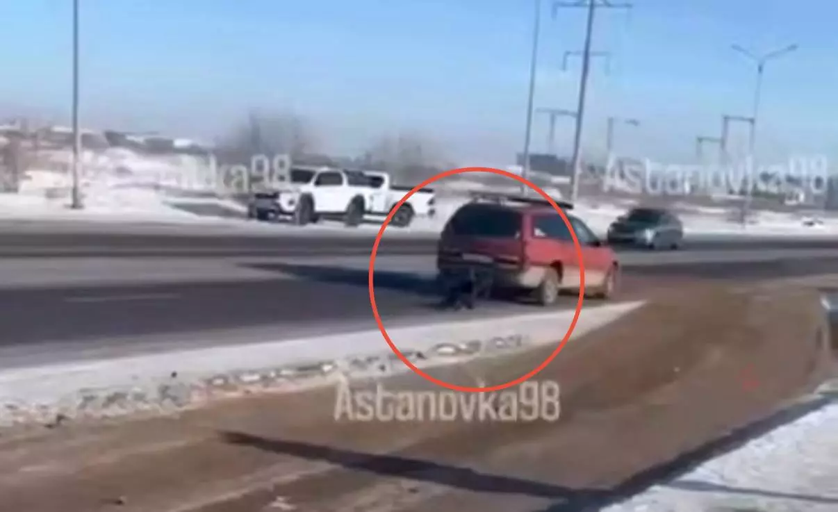 Астанада итті көлікке байлап сүйреген жүргізуші: «Мен оны қыдыртып жүрмін»