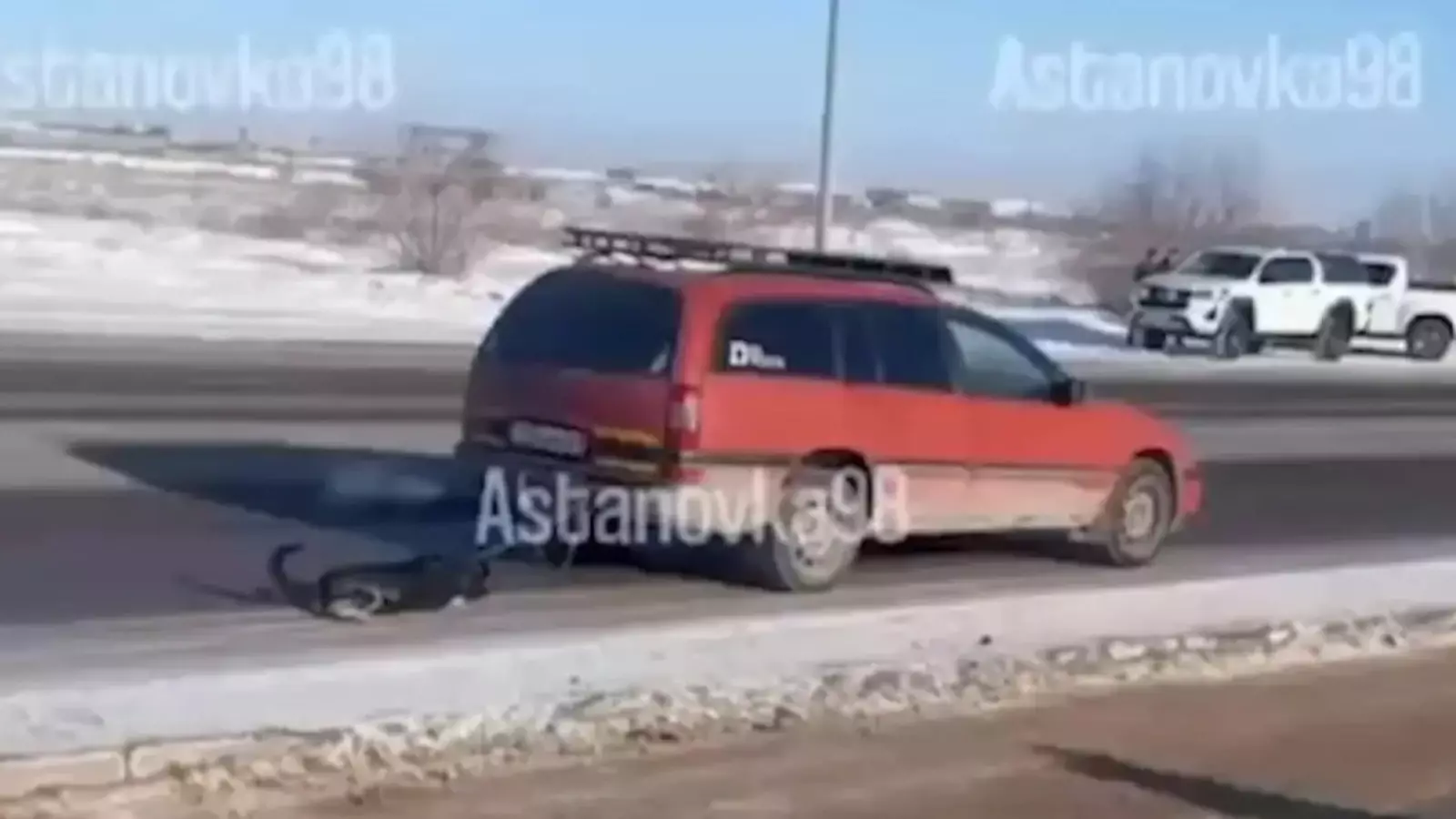 Астанада көлігімен итті сүйреген жүргізуші жауапкершілікке тартылды (ВИДЕО)