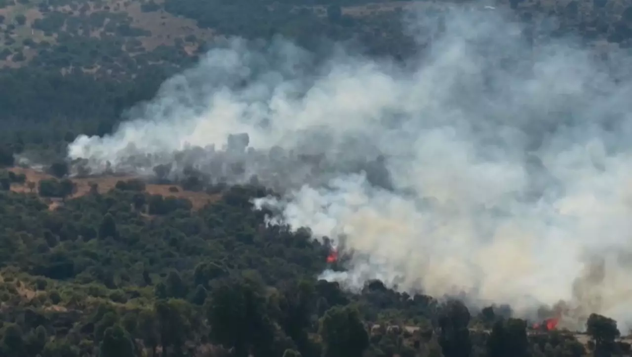 Режим ЧС объявили из-за пожаров в Аргентине