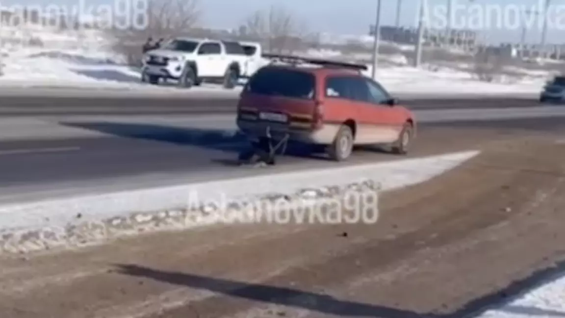 Астанада ер адам итін көлігіне байлап сүйреген