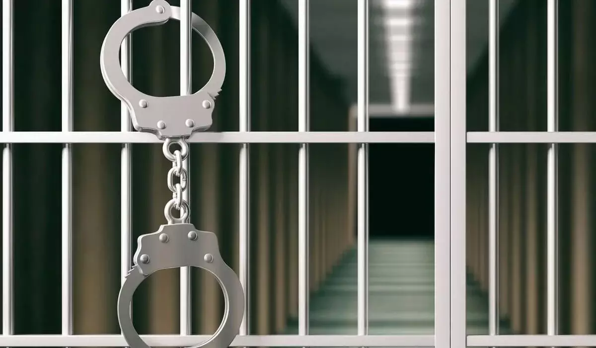 72 часа вместо 48: сократят ли срок содержания человека без решения суда