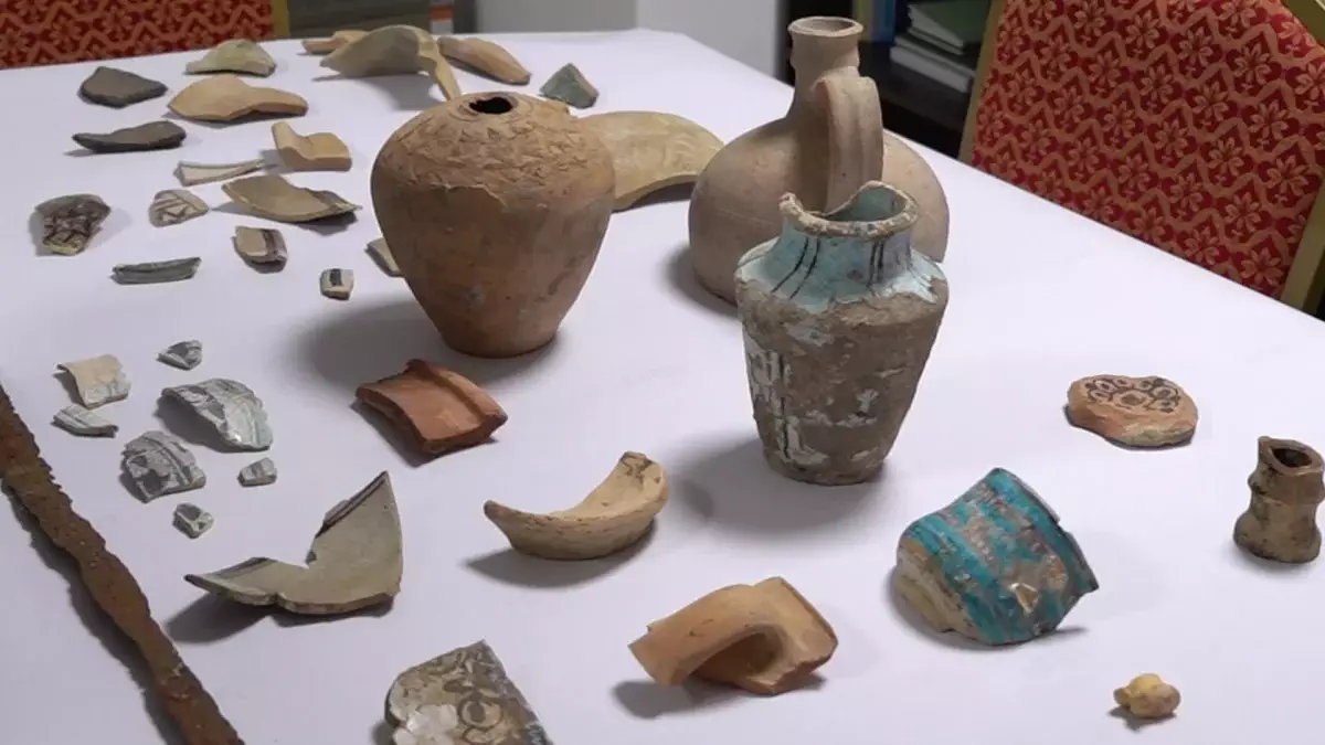 Жамбыл облысында 50-ге жуық қола тиындар табылды