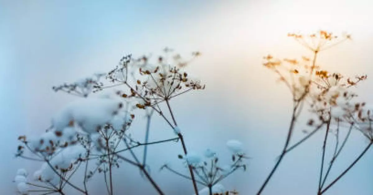   Қазақстандықтардың өмірі 1 ақпаннан бастап қалай өзгереді?   