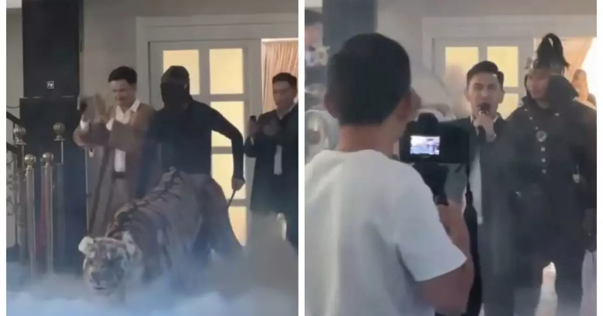  Қазнеттегі талқылау: Сүндет тойдағы жолбарыс жұртты шулатты (ВИДЕО) 