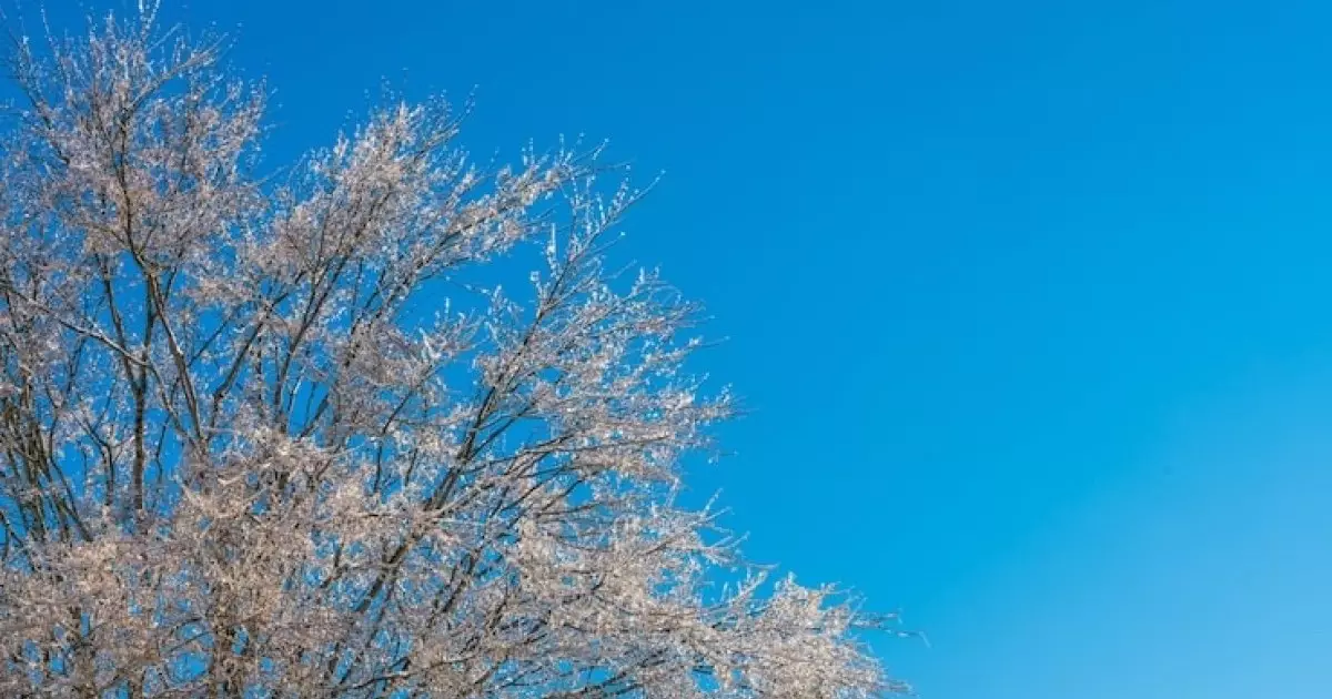  Сенбі күні еліміздің бірнеше өңірінде тұман мен қар күтіледі 