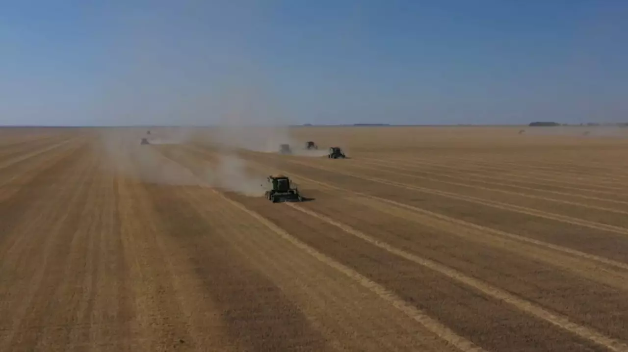 Более 2 млн гектаров сельхозземель возвращено государству