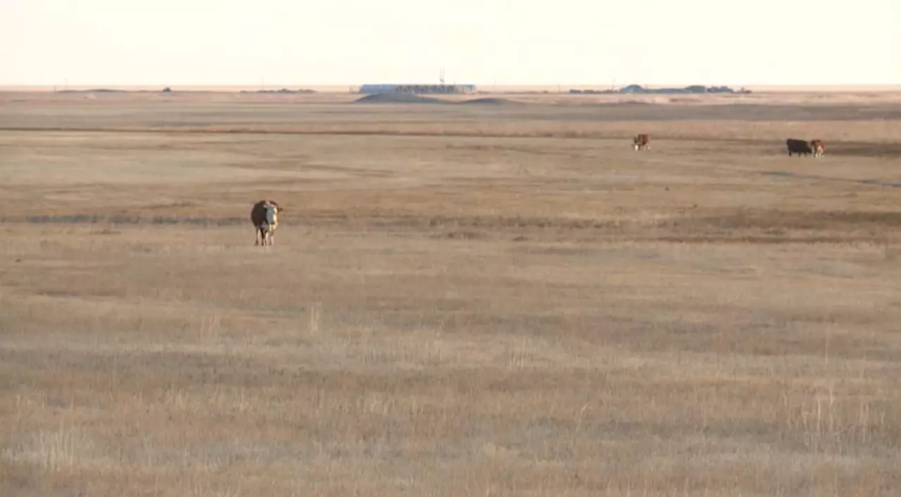 2 млн гектар жер мемлекет меншігіне өтті