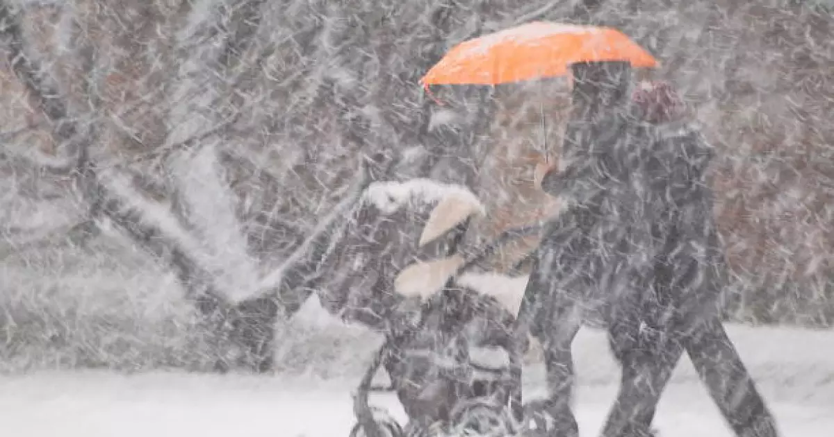   Қар жауып, жаяу бұрқасын болады: 31 қаңтарға ауа райы болжамы   