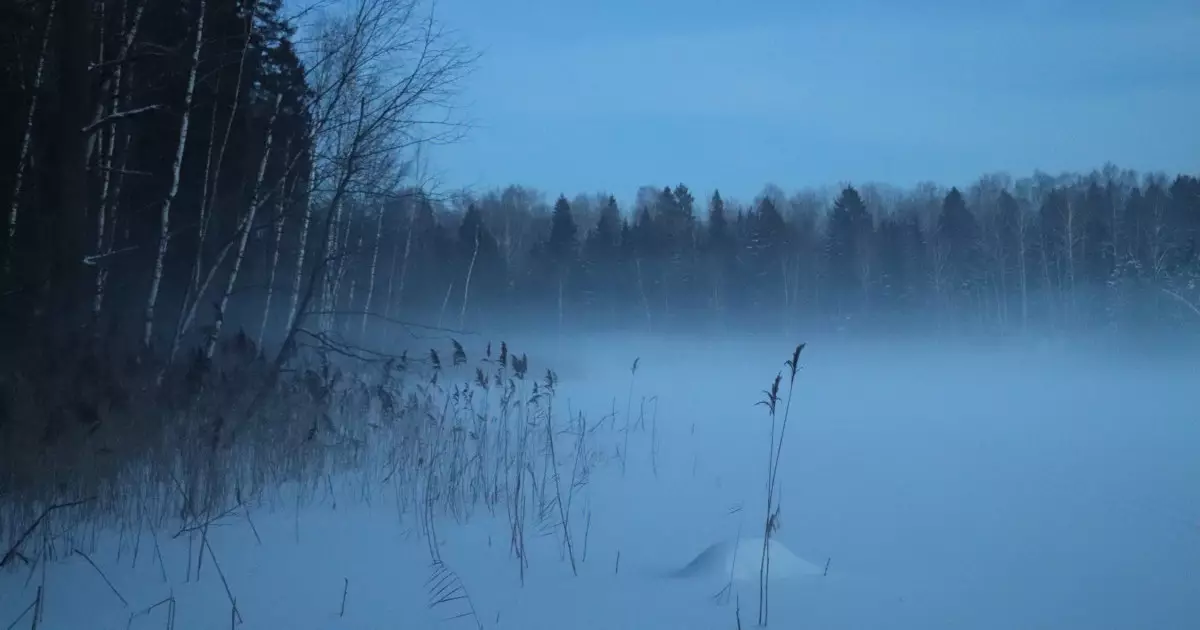  31 қаңтарға арналған ауа райы болжамы жарияланды 