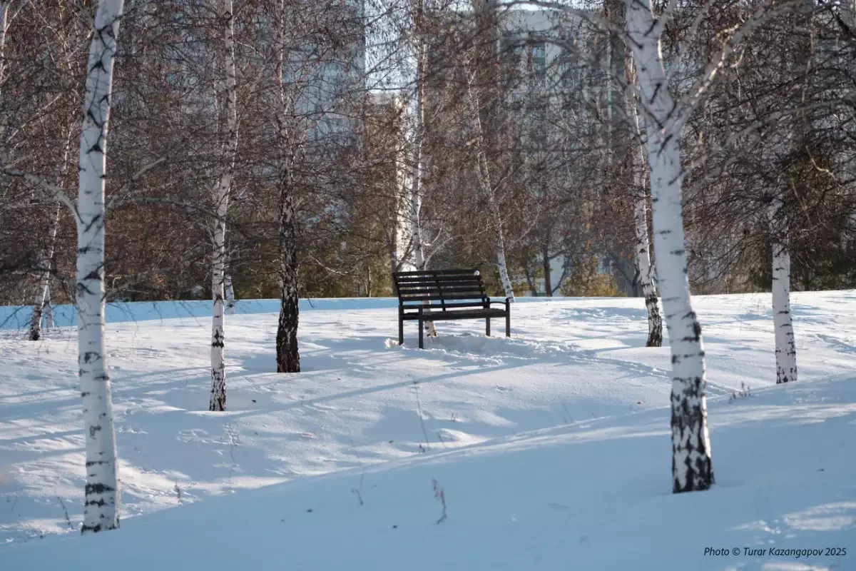 Прогноз погоды в Казахстане на 31 января