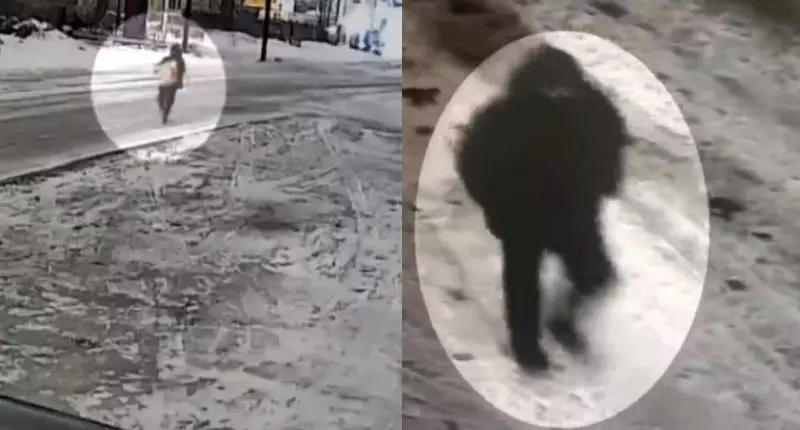 В Караганде вор вынес из дома сейф с деньгами и золотом на 10 млн тенге