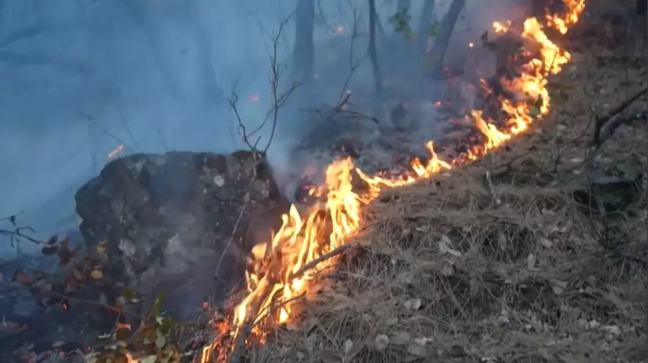 Аргентинада төтенше жағдай жарияланды