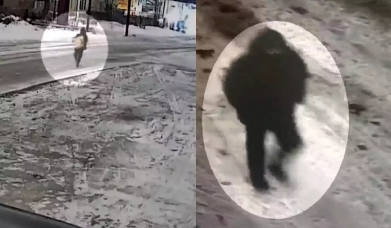 Кражу в крупном размере раскрыла полиция в Караганде