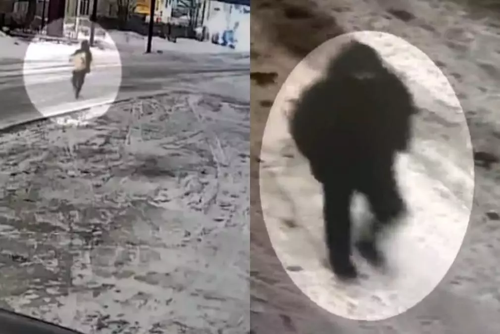 Полиция раскрыла крупную кражу в Караганде