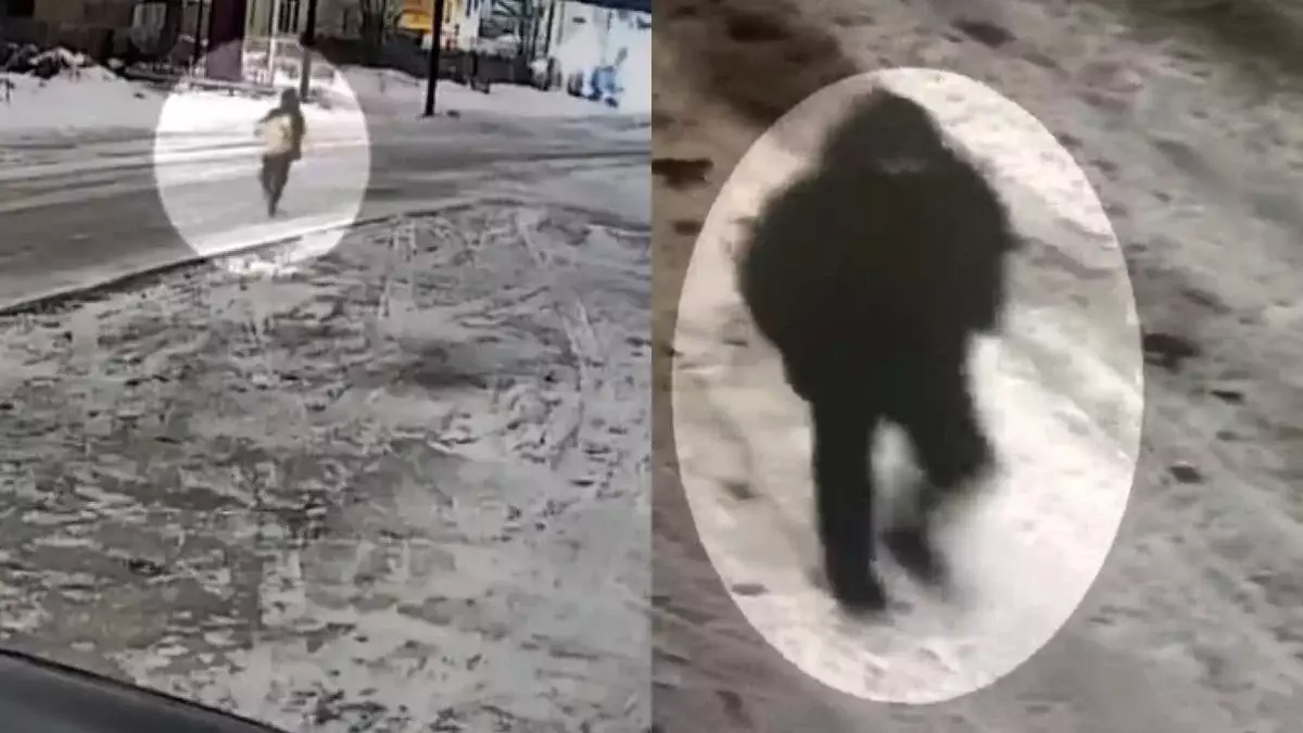 Мужчина с похищенным сейфом попал на видео на улице Караганды