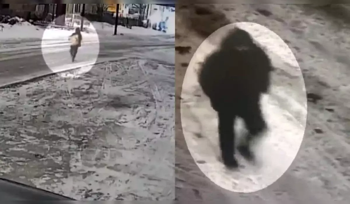 Сейф с деньгами и золотом украл казахстанец из дома в Караганде (ВИДЕО)