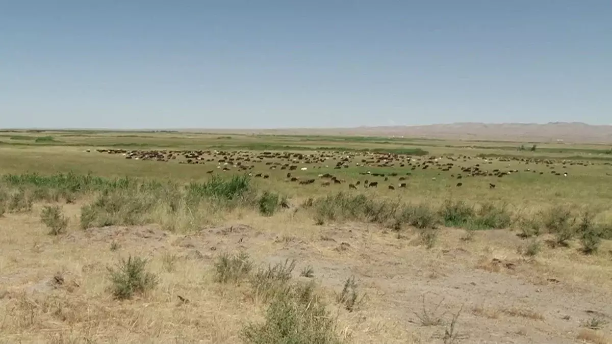 Жерді шетелдіктерге сатуға тыйым сақталады - ресми түсіндірме