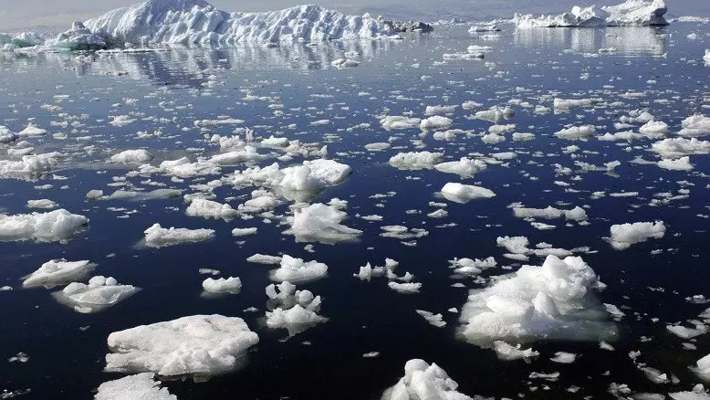 Жаһандық жылыну мұхиттағы оттегі мөлшерін арттыруы мүмкін