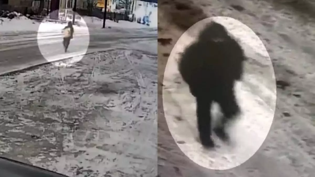 Полиция раскрыла кражу в крупном размере в Караганде