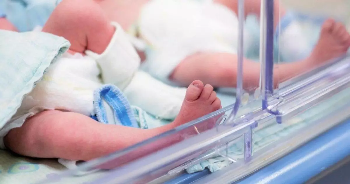  10 жыл бойы бала сүйе алмаған ерлі-зайыптылар бірден төртемнің ата-анасы атанды 