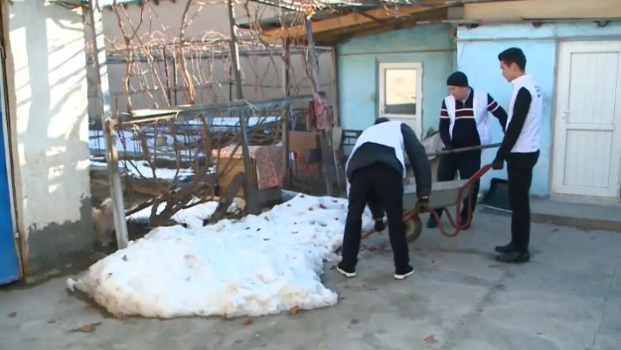 Молодёжные активисты помогли пенсионерке из Туркестана