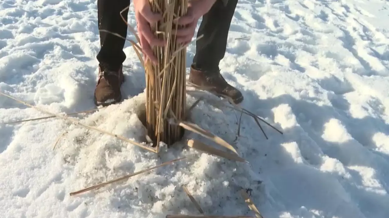Ақтөбе облысындағы шағын өзен-көлдерде балыққа ауа жіберіп жатыр