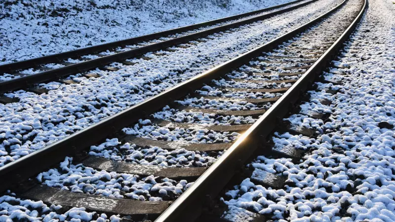 Railways Systems KZ: бес өндірістік кәсіпорын отандық өндіруші мәртебесін алды