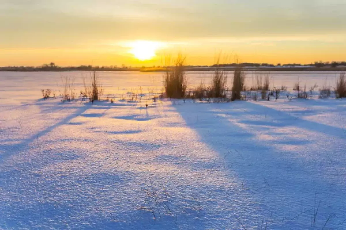 В Казахстане опровергли фейк о проекте новой Конституции