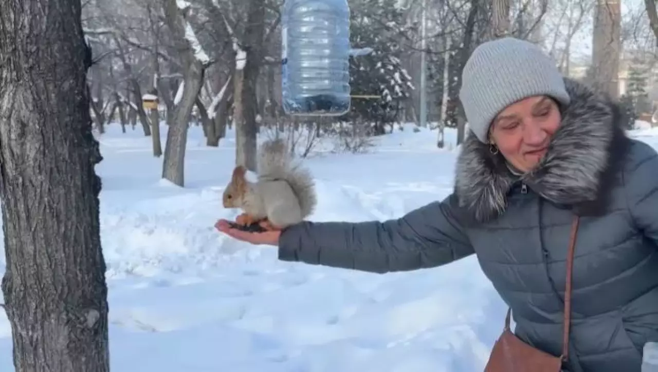 «Серебряные волонтёры» помогают птицам пережить зиму