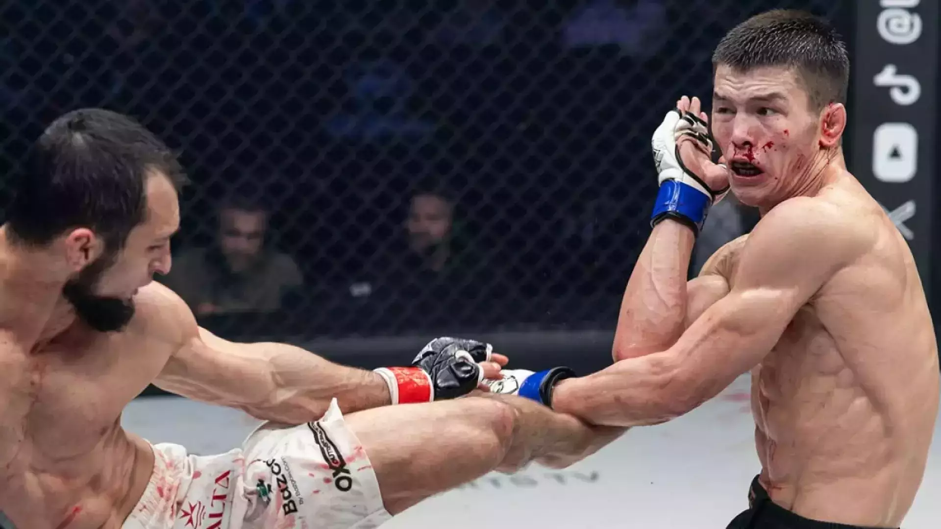 Казахстанец проиграл бой бойцу из команды Хабиба