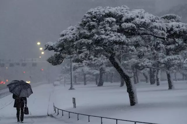 Жапонияда шамадан тыс қар түсуі салдарынан 18 адам қаза тапты