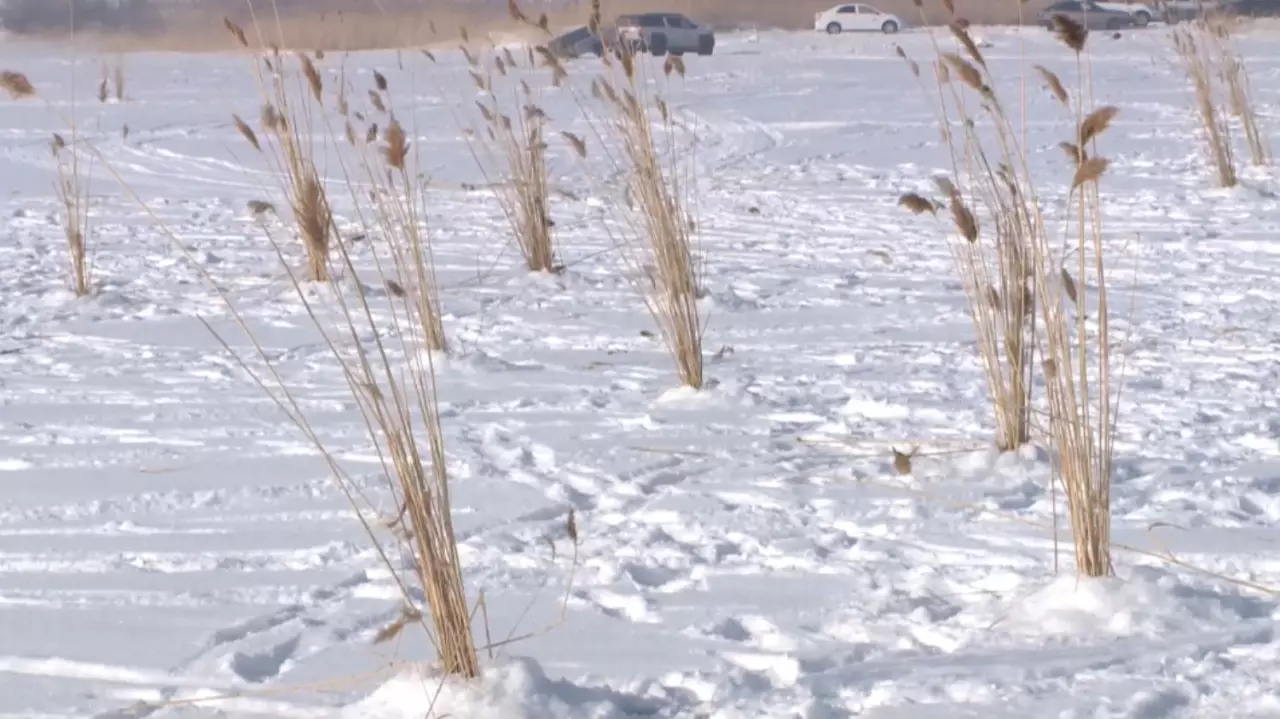 Водоемы Карагандинской области насыщают кислородом