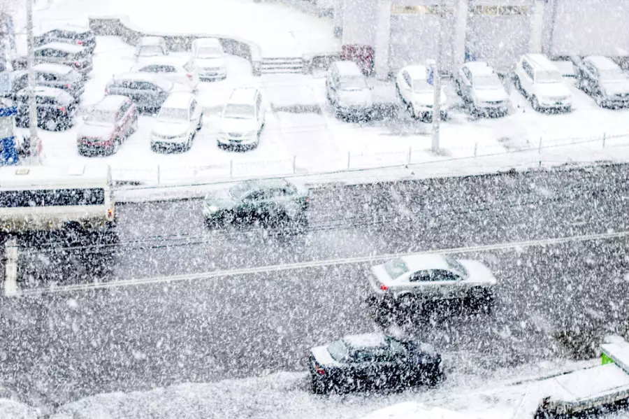 Жапонияда жауған қалың қар 23 адамның өмірін қиды