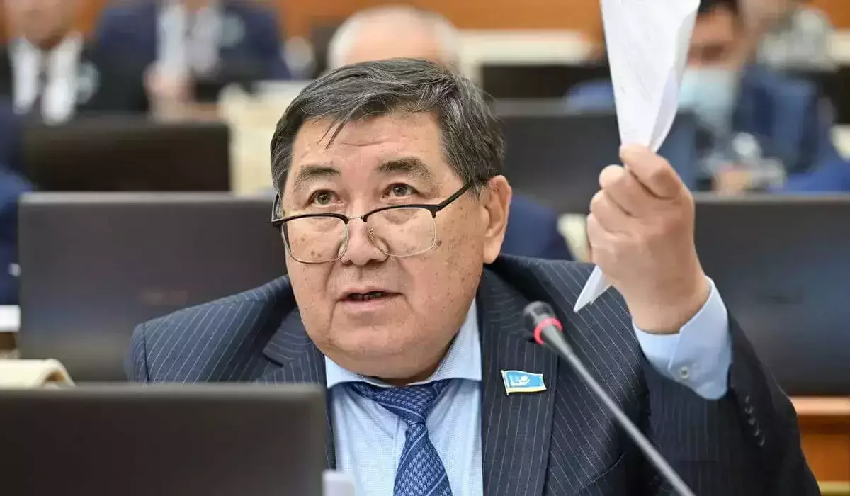 Ермұрат Бапи: Билік пен қоғамның ортақ ықыласы ғана бізді жасампаз болашаққа бастай алады